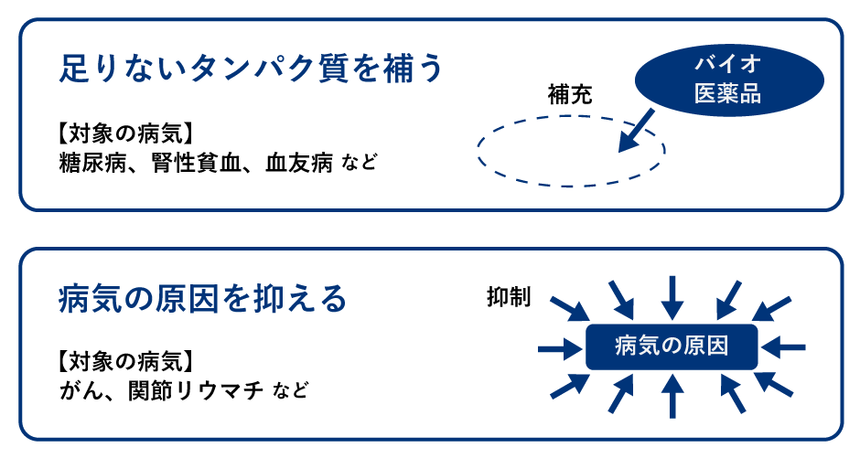 足りないタンパク質を補う 【対象の病気】糖尿病、腎性貧血、血友病など | 病気の原因を抑える 【対象の病気】がん、関節リウマチなど